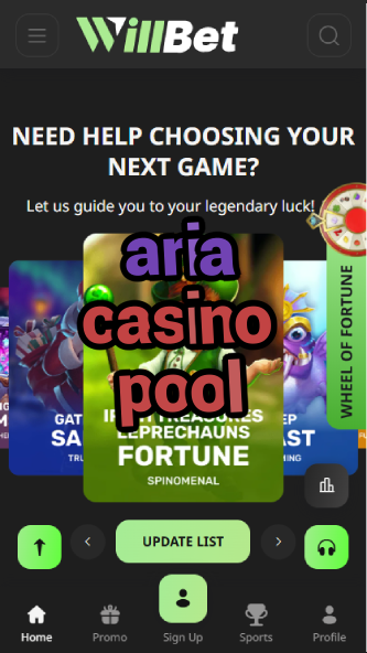 Aria Casino Pool - Las Vegas Luxury Pool Experience-casinoorder.vip