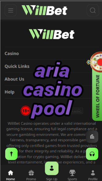 Aria Casino Pool - Las Vegas Luxury Pool Experience-casinoorder.vip
