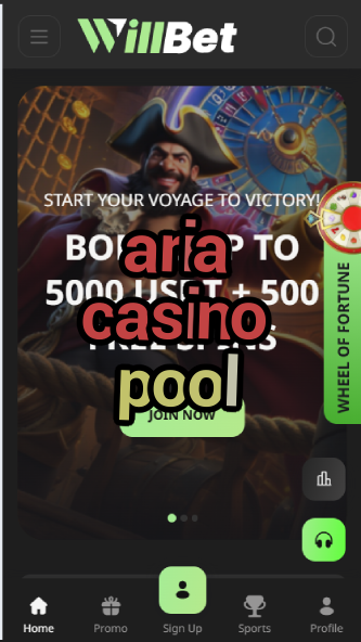 Aria Casino Pool - Las Vegas Luxury Pool Experience-casinoorder.vip